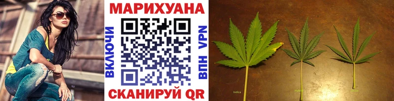 Бошки марихуана Amnesia  наркотики  Луховицы 